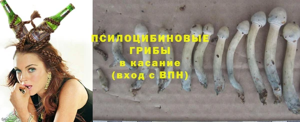 spice Верхний Тагил