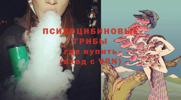 spice Верхний Тагил
